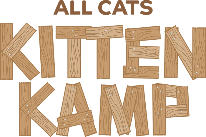 All Cats Kitten Kamp